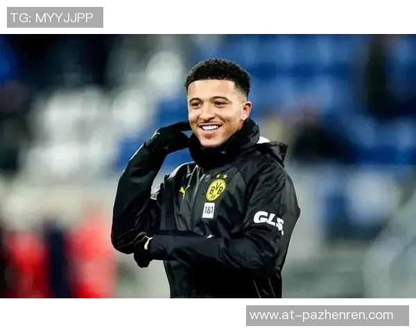 费迪南德：桑乔的租借合同没有强制买断条款，这可太不应该了